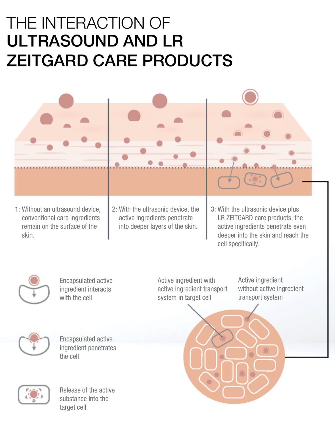 ZEITGARD PRO Cosmetic Device + Face Smoothing Tool - Luminor Royale